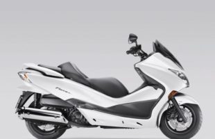 GRUPO 5 honda-forza-ex.659948